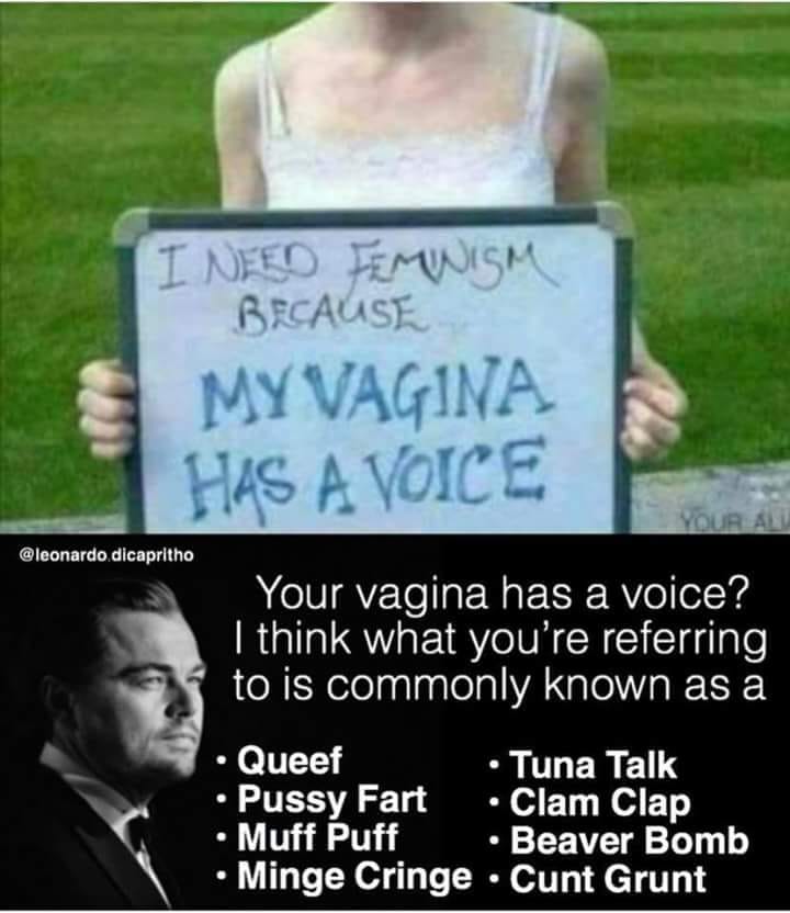 dank my vagina has a voice - I Need Femwism Because My Vagina Has A Voice Your Al dicapritho Your vagina has a voice? I think what you're referring to is commonly known as a Queef Tuna Talk Pussy Fart Clam Clap Muff Puff Beaver Bomb Minge Cringe Cunt Grun