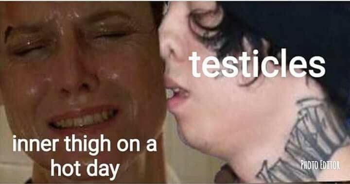 dank funny memes - testicles inner thigh on a hot day Piloto Editor