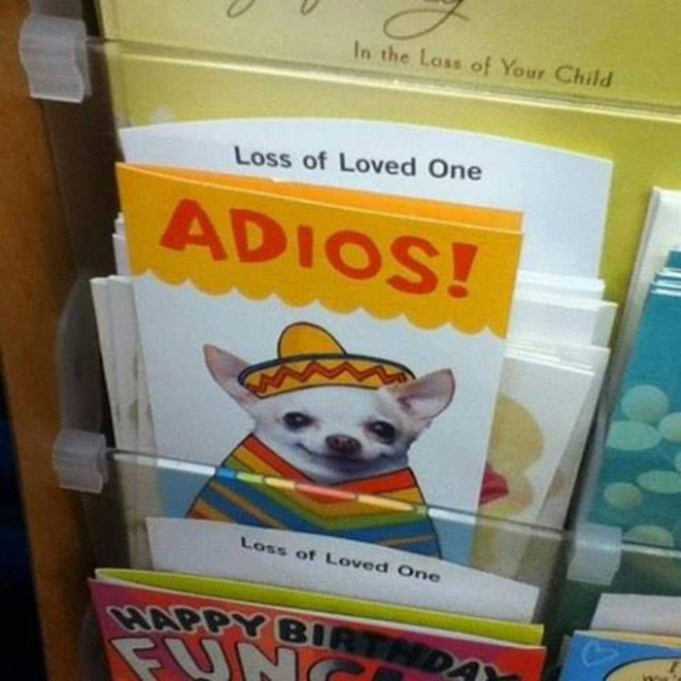 loss of loved one chihuahua - In the loss of Your Child Loss of Loved One Adios! Loss of Loved One
