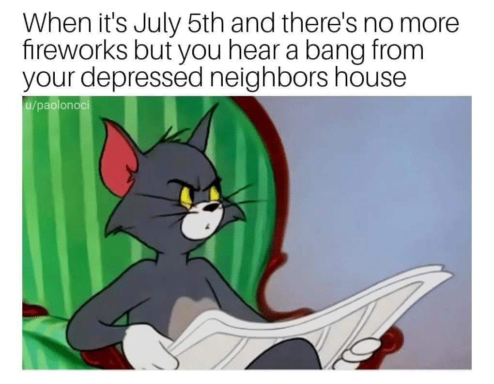 you hear the toilet flush - When it's July 5th and there's no more fireworks but you hear a bang from your depressed neighbors house upaolonoci
