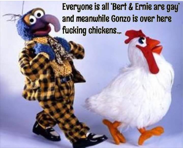 camilla the chicken - Everyone is all 'Bert & Ernie are gay and meanwhile Gonzo is over here fucking chickens...