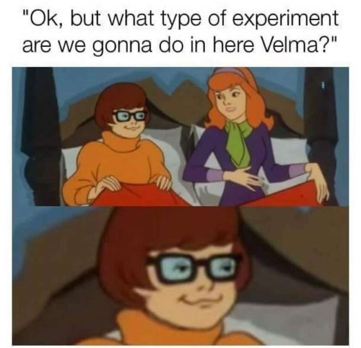 velma meme - "Ok, but what type of experiment are we gonna do in here Velma?"