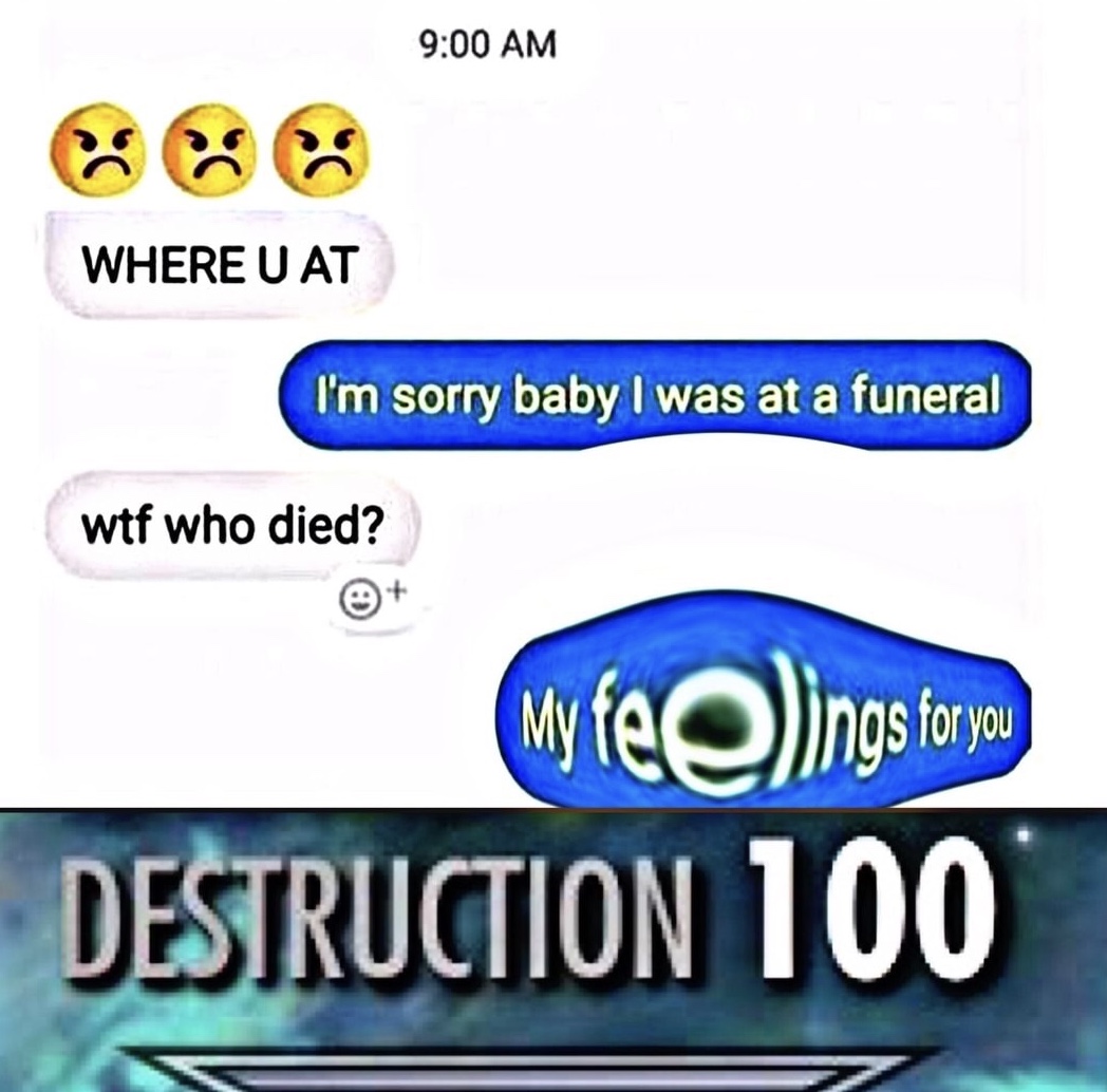 skyrim destruction - Where U At I'm sorry baby I was at a funeral wtf who died? My feelings foryou Destruction 100
