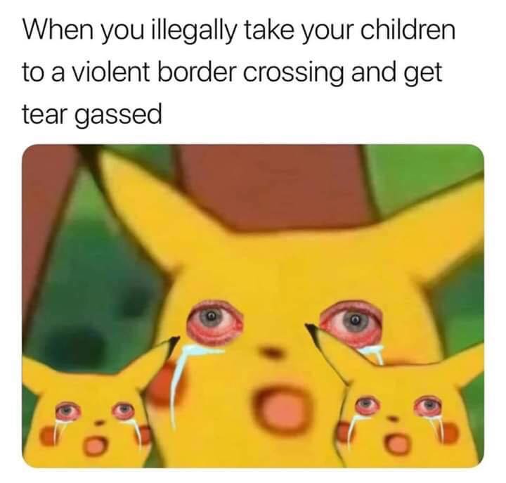 memes - tear gas pikachu meme - When you illegally take your children to a violent border crossing and get tear gassed