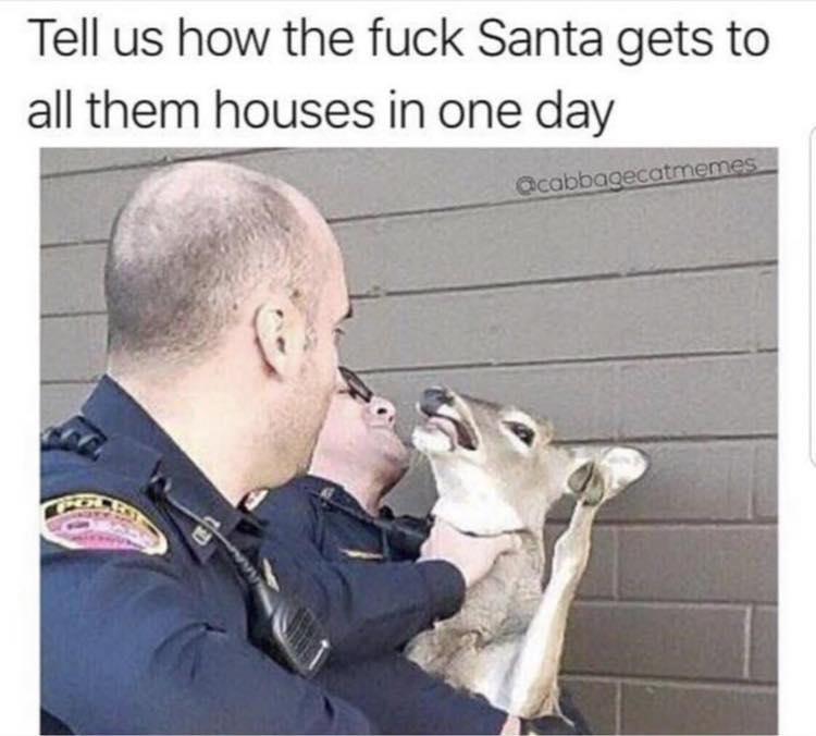 memes - tell us how the fuck santa - Tell us how the fuck Santa gets to all them houses in one day acabbagecatmemes