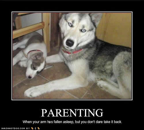 funny parenting