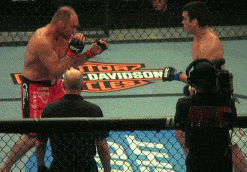 UFC KO and TKO'S