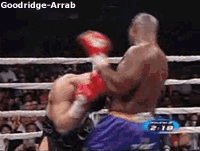 kickboxing and Muay Thai knockout GIFs