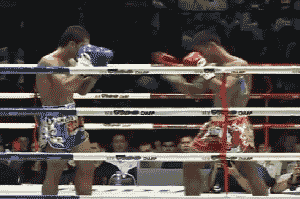 kickboxing and Muay Thai knockout GIFs