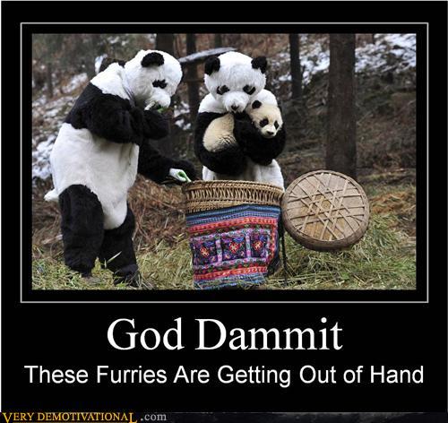Best Of Panda Meme