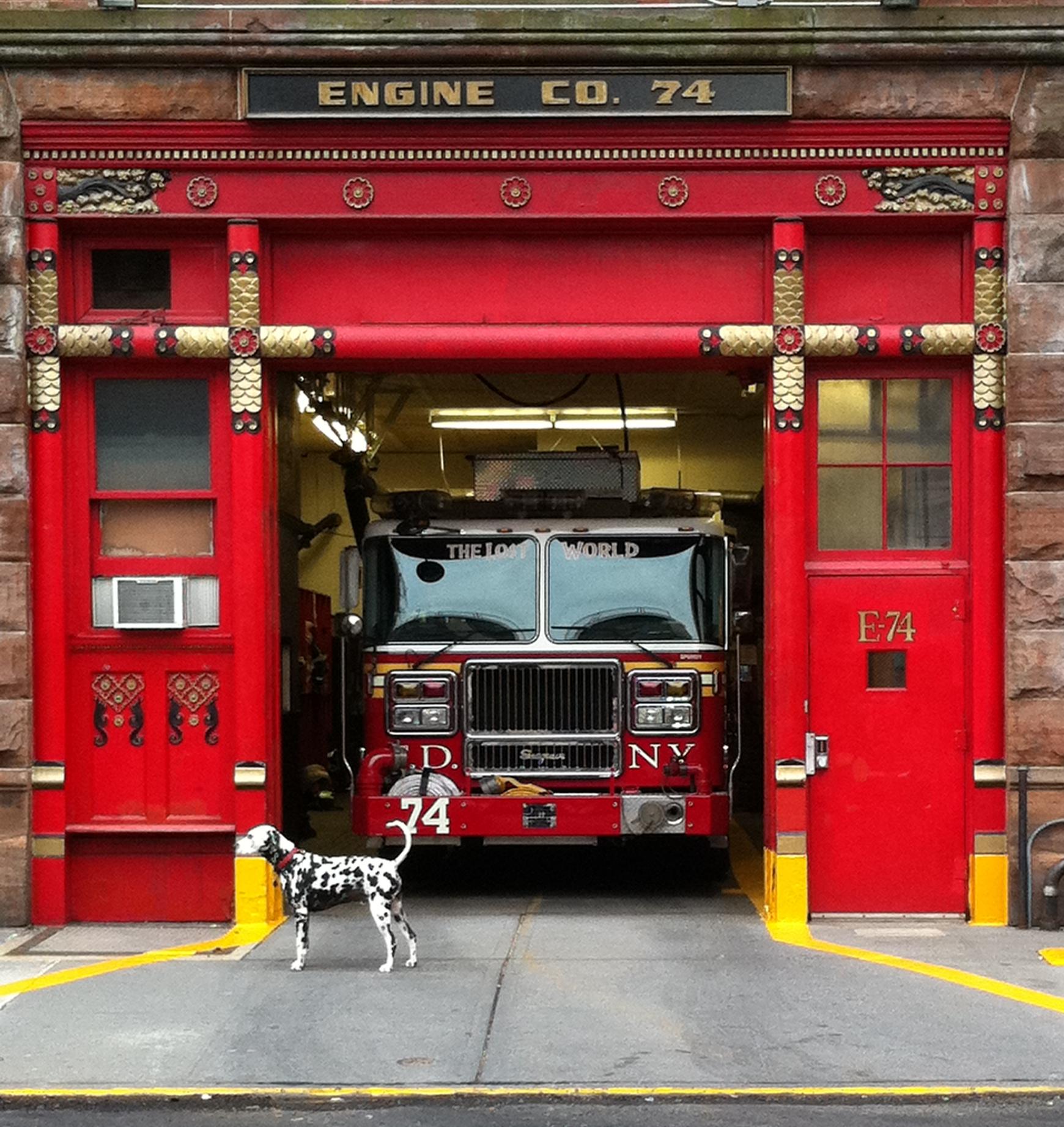 How did that spotty black and white dog known as a dalmatian come to be associated with fire fighting?
