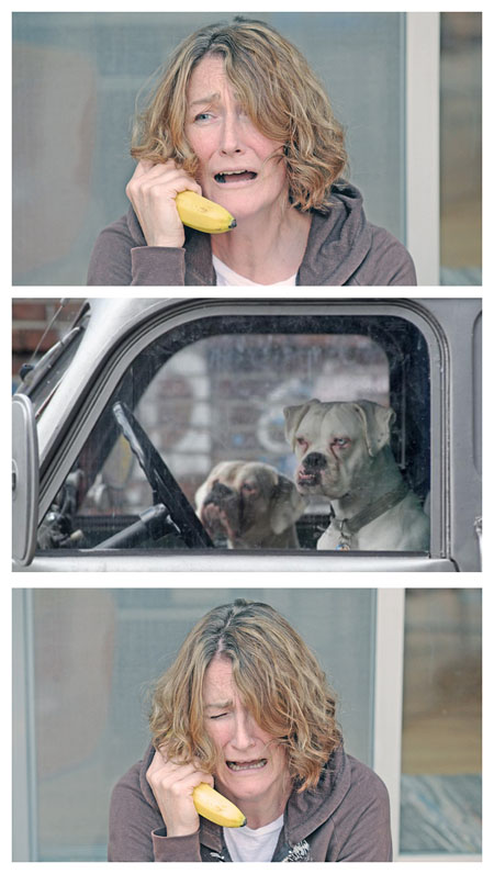 banana phone dog
