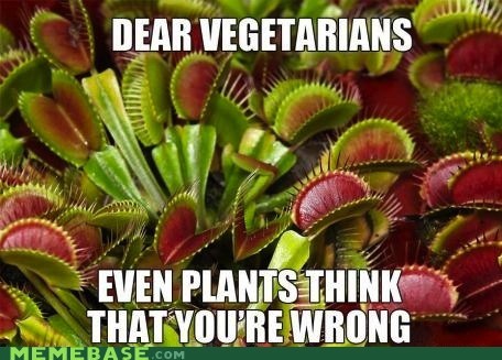 Cant argue with nature, you can argue with Vegans, but you can't argue with science.