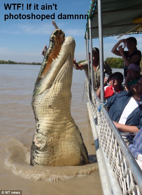 That is one huge croc if not faked
