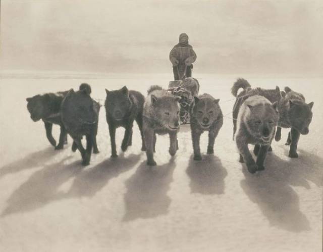 First Australian Antarctic Expedition Of 1911-1914