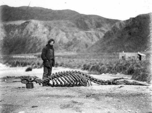 First Australian Antarctic Expedition Of 1911-1914