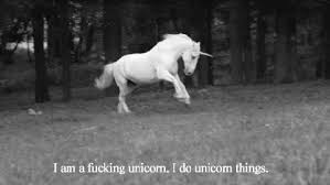 Scotland’s national animal is the unicorn.