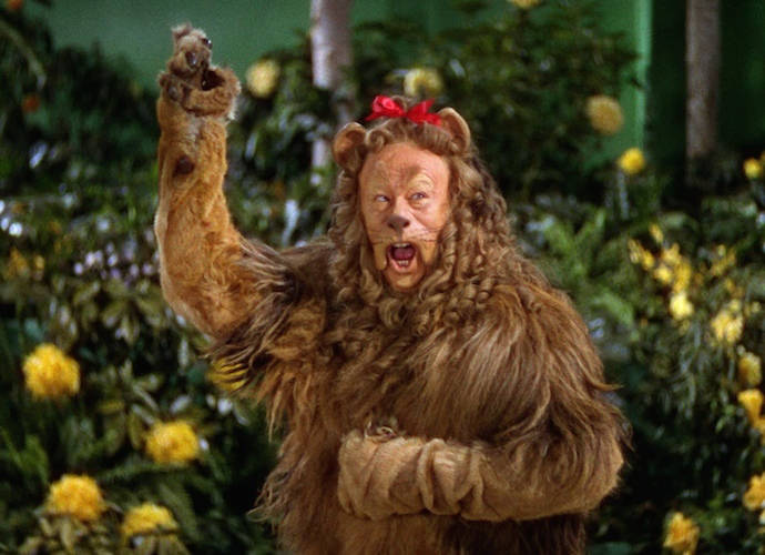 The cowardly lion from the Wizard of Oz wore a costume made of a real lion skin