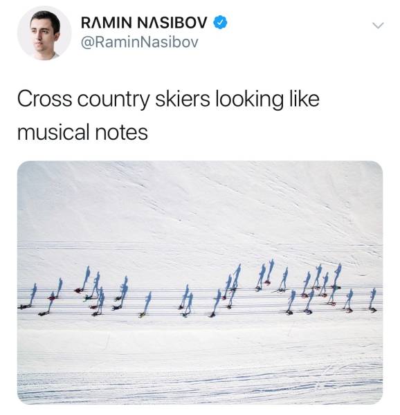 memes - Humour - Ramin Nasibov Nasibov Cross country skiers looking musical notes