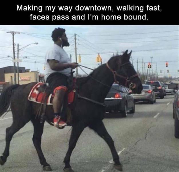 memes - breath of the wild horses meme - Making my way downtown, walking fast, faces pass and I'm home bound.