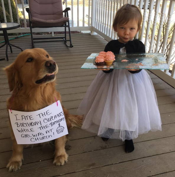 32 Fun-filled Pics to Make Your Week a Blast