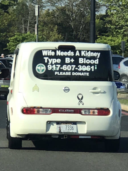 If you’re B positive with a kidney to spare, give this dude a call