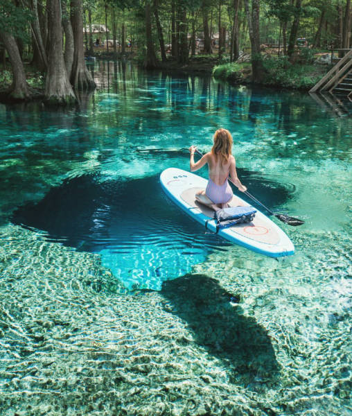 The water in Ginnie Springs, Florida looks cleaner than people's pools