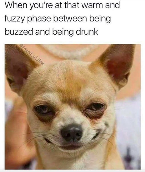 being drunk memes - When you're at that warm and fuzzy phase between being buzzed and being drunk GFriend_of_Bae