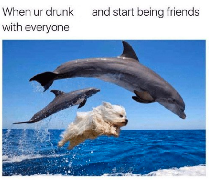 your drunk and make friends with everyone - and start being friends When ur drunk with everyone