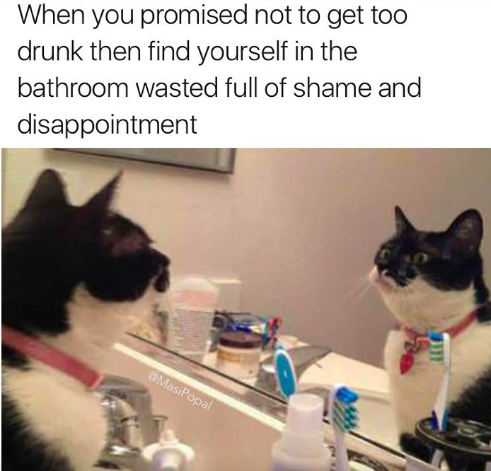 cat mirror meme - When you promised not to get too drunk then find yourself in the bathroom wasted full of shame and disappointment
