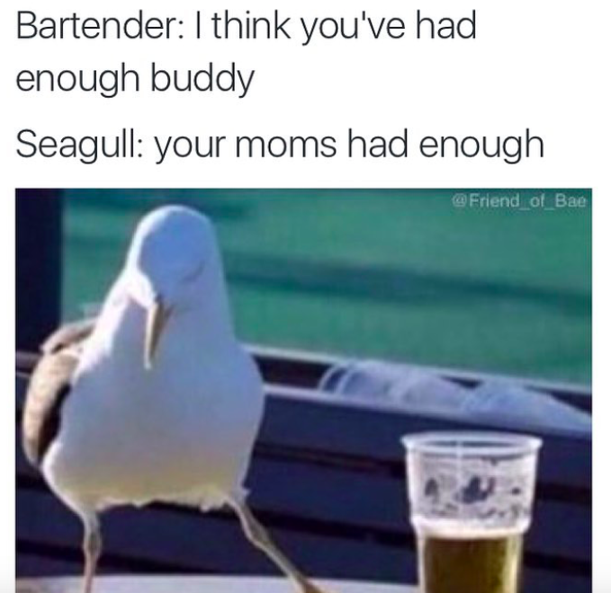 funny seagull quotes - Bartender I think you've had enough buddy Seagull your moms had enough of Bae