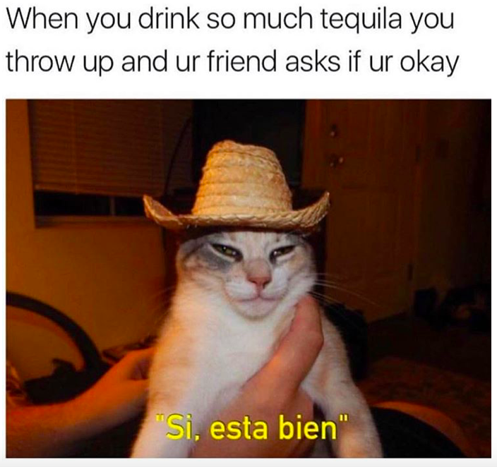 you drink too much tequila - When you drink so much tequila you throw up and ur friend asks if ur okay "Si, esta bien"