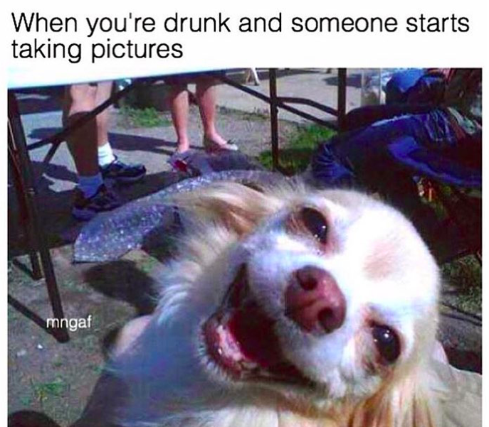 drunk dog meme - When you're drunk and someone starts taking pictures mngaf