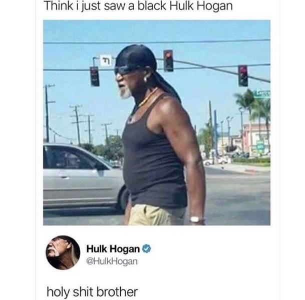 black hulk hogan - Think i just saw a black Hulk Hogan Hulk Hogan Hogan holy shit brother
