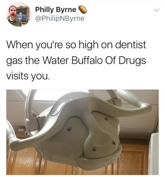 dentist water buffalo - Philly Byrne When you're so high on dentist gas the Water Buffalo Of Drugs visits you.