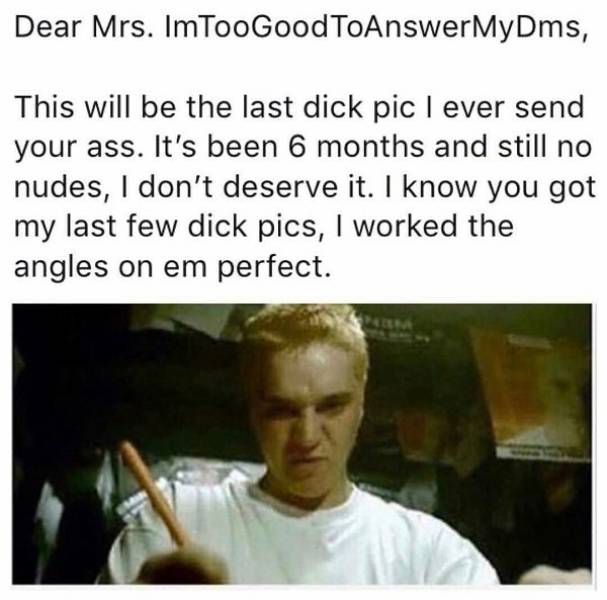 eminem stan meme - Dear Mrs. Im Too GoodToAnswerMyDms, This will be the last dick pic I ever send your ass. It's been 6 months and still no nudes, I don't deserve it. I know you got my last few dick pics, I worked the angles on em perfect.