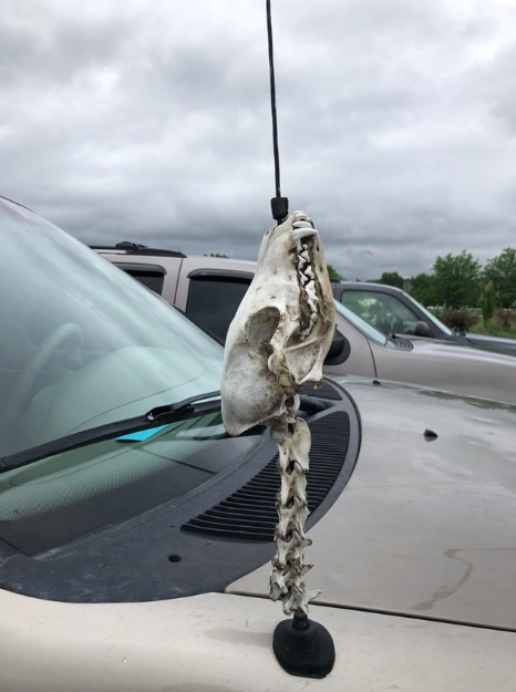 skeleton car antenna