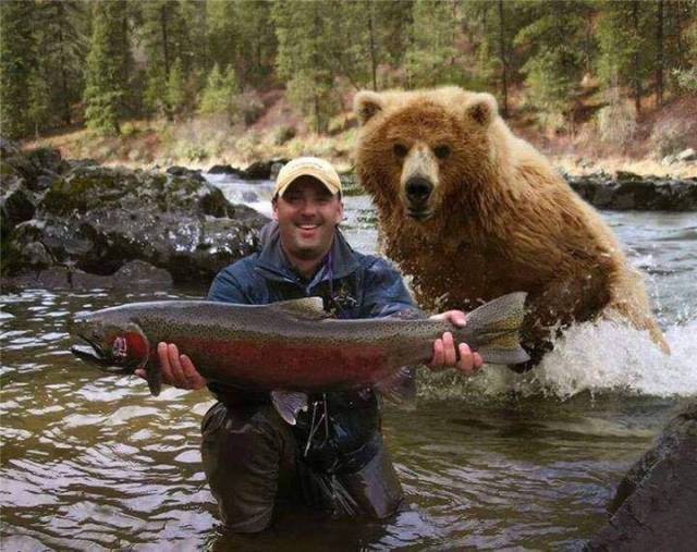 funny picture of bear with fisherman