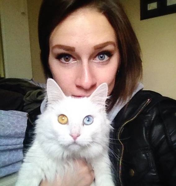 heterochromia girl and cat