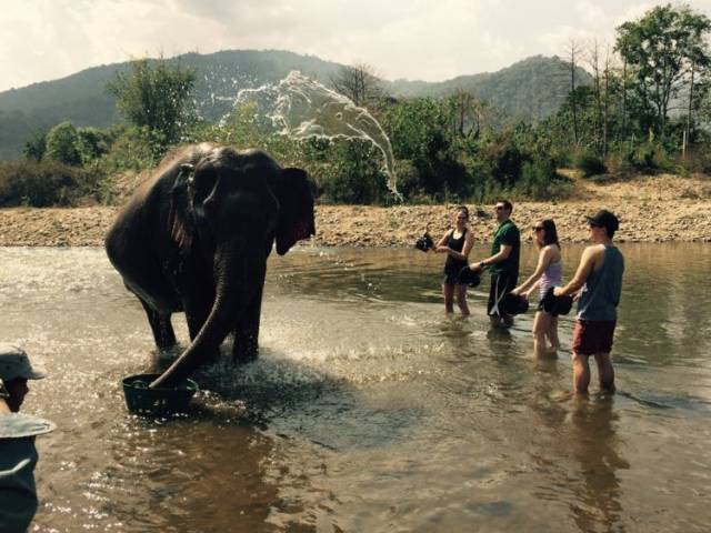 water flying onto this elephant looks like an eleph