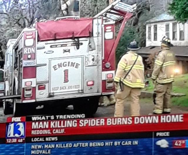 man burns down house spider - Segihe It 15XFIT Uli Fox What'S Trending Man Killing Spider Burns Down Home Redding, Calif. Local News Price New Man Killed After Being Hit By Car In Midvale 29 Ls
