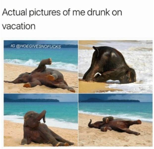 27 Funny AF Vacation Memes Will Keep You Laughing