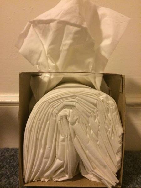 Have you ever stopped to consider what all those tissues look like when they're inside the box?