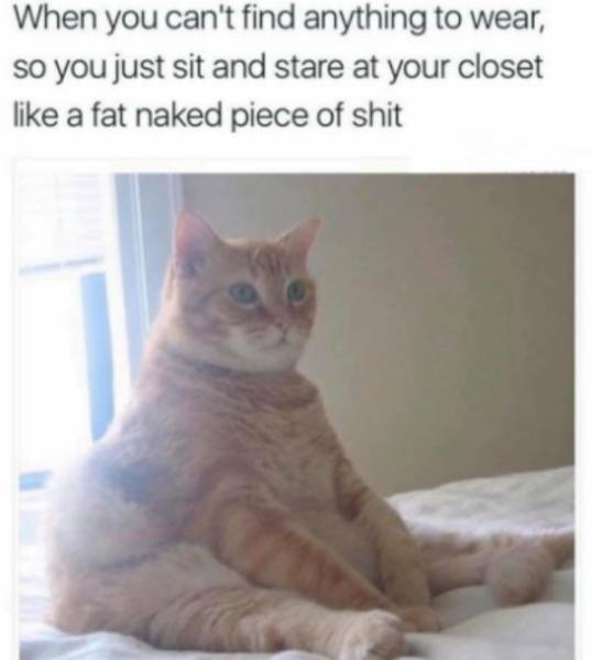 memes  - funny pregnancy memes - When you can't find anything to wear, so you just sit and stare at your closet a fat naked piece of shit