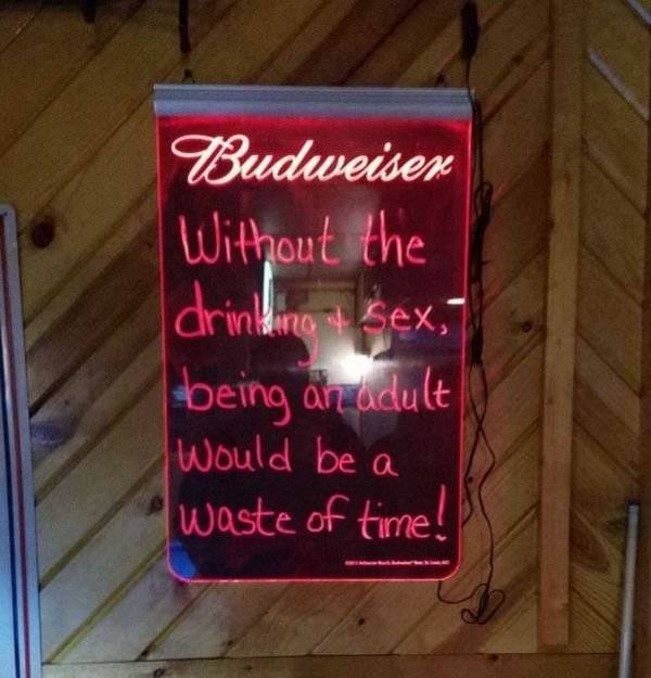 sign - Budweiser Without the drinking & sex, being an adult would be a waste of time!