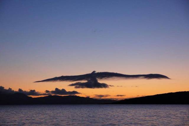 random photo of a cloud that looks like giant bird