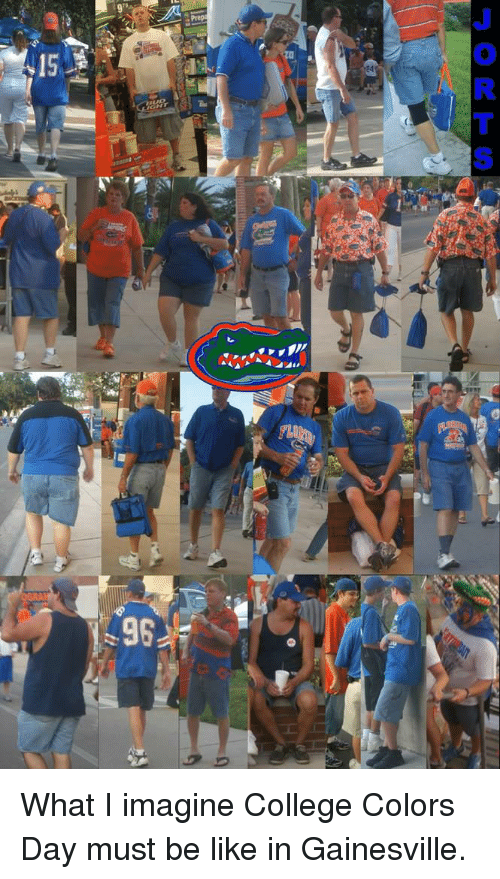 gators jorts - 15 Yllin What I imagine College Colors Day must be in Gainesville.