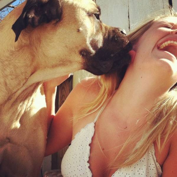dog licking girl