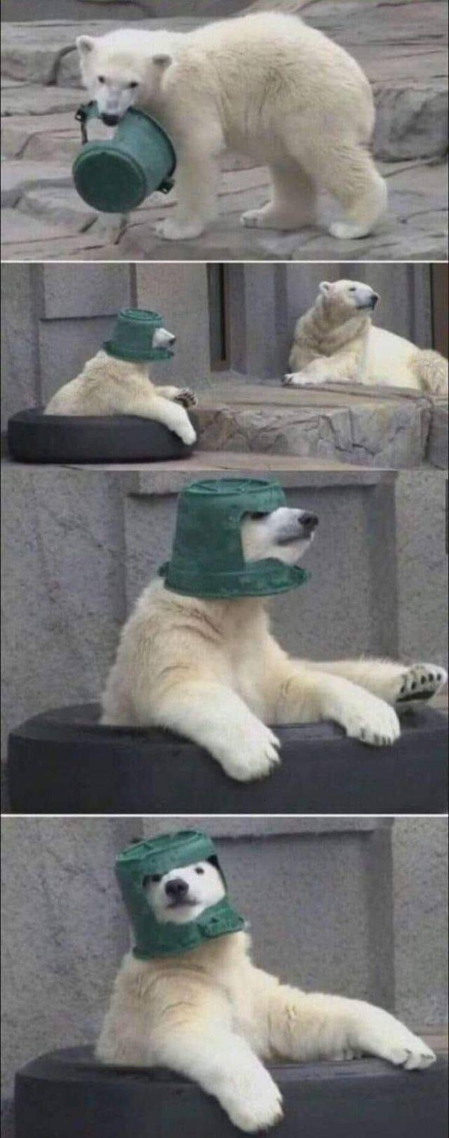 polar bear bucket helmet