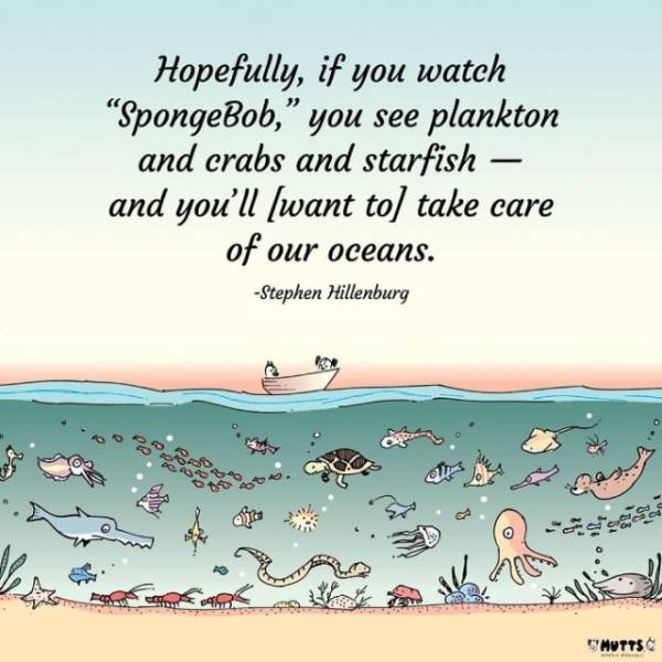 spongebob squarepants stephen hillenburg tribute - Hopefully, if you watch "SpongeBob, you see plankton and crabs and starfish and you'll want to take care of our oceans. Stephen Hillenburg eco Muttsc